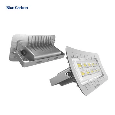 Lũ lụt tiết kiệm năng lượng carbon màu xanh